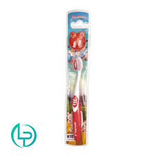 download - 2026-01-06T121108