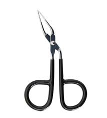 download - 2026-01-06T121615